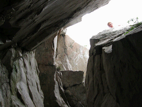 A view of the crevice