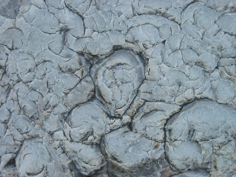 Detail of the surface of quartzite