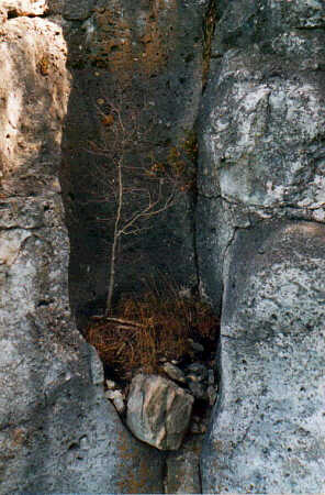 Close up of partial pothole with boulder