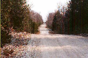 View along a road crossing the area of ripples